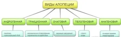 Алопеція у жінок симптоми і лікування жіночого облисіння (алопеція) Алопеція у жінок симптоми і лікування жіночого облисіння