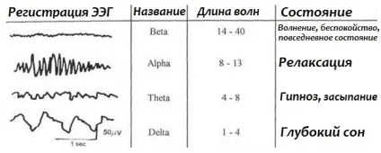 Альфа, тета, дельта хвилі