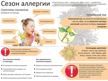 Алергія на століттях очей - причини, симптоми і лікування, мазі від алергії (алергія) Алергія на століттях очей - причини, симптоми і лікування, мазі від алергії