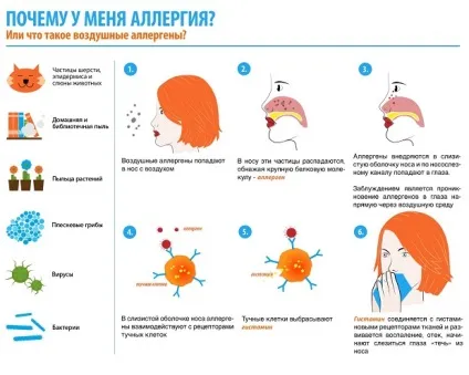 Алергія на століттях очей - причини, симптоми і лікування, мазі від алергії (симптоми) Алергія на століттях очей - причини, симптоми і лікування, мазі від алергії
