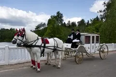 Оренда карети, оренда фаетонов, прокат карети з трійкою коней - кінно-спортивний клуб золота (оренда фаетонов) Оренда карети, оренда фаетонов, прокат карети з трійкою коней - кінно-спортивний клуб золота