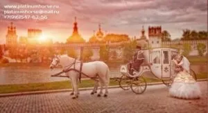 Оренда карет - platinum horse