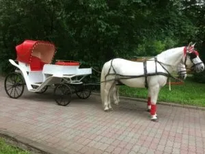 Оренда карет - platinum horse