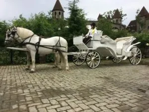 Оренда карет - platinum horse