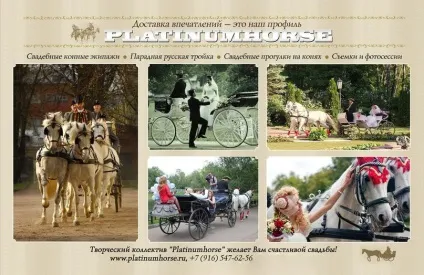 Оренда карет - platinum horse