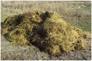 Баланс гумусу і можливості його регулювання (свіжого органічної речовини) Баланс гумусу і можливості його регулювання