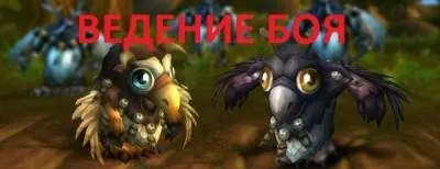 Баланс в pvp, друїд - друїд - класи - гайди wow - длань темряви (баланс) Баланс в pvp, друїд - друїд - класи - гайди wow - длань темряви