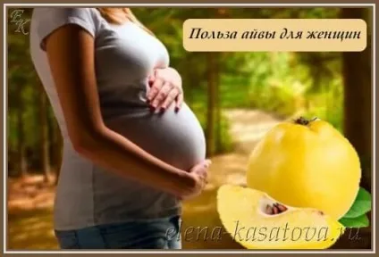 Айва корисні властивості і протипоказання (протипоказання) Айва корисні властивості і протипоказання
