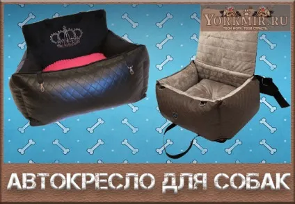 Автокрісло для собак, своїми руками, для дрібних собак