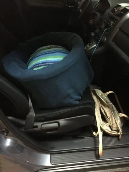 Автокрісло для собаки своїми руками без жодного шва (автокрісло) Автокрісло для собаки своїми руками без жодного шва