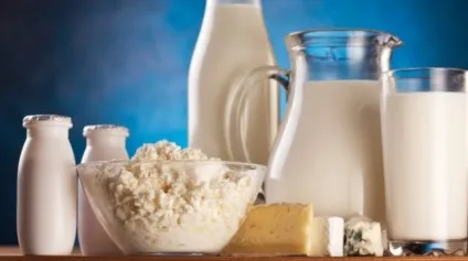 Бізнес план організації продажу молочних продуктів - найкращі бізнес ідеї (молочних) Бізнес план організації продажу молочних продуктів - найкращі бізнес ідеї