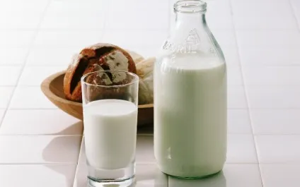 Бізнес на оптовій торгівлі молочною продукцією - ідея бізнесу (торгівлі) Бізнес на оптовій торгівлі молочною продукцією - ідея бізнесу