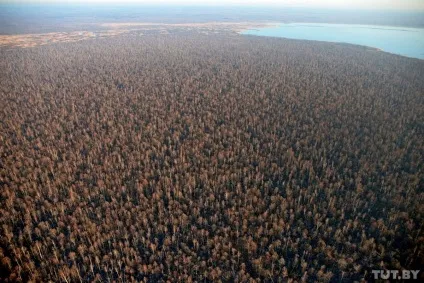 Білорусь з висоти пташиного польоту (польоту) Білорусь з висоти пташиного польоту