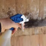 Блохи в курнику використання ефективних народних коштів (коштів) Блохи в курнику використання ефективних народних засобів