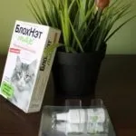 Блохи в курнику використання ефективних народних засобів (курнику) Блохи в курнику використання ефективних народних засобів