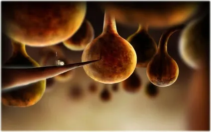 Блог про незалежних іграх botanicula