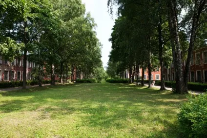 Лікарня петра великого
