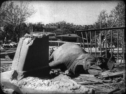 Блокадний Ленінград - моторошні спогади того часу, умкра (Ленінград) Блокадний Ленінград - моторошні спогади того часу, умкра