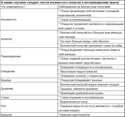 Хвороби папуг - хвилясті папуги