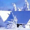 Брикетування вугілля своїми руками - технологія і устаткування (вугілля) Брикетування вугілля своїми руками - технологія і устаткування