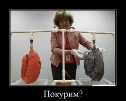 Кинув палити як очистити легені бронхи, очищення організму (очистити) Кинув палити як очистити легені бронхи, очищення організму