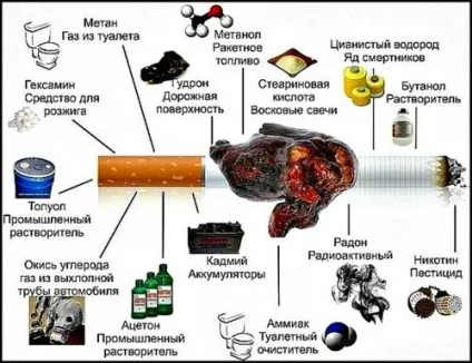 Кинув палити як очистити легені бронхи, очищення організму (курити) Кинув палити як очистити легені бронхи, очищення організму