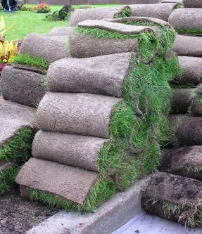 Пристрій рулонного газону