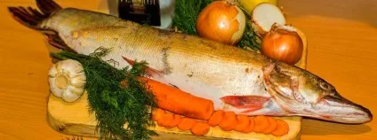 Юшка з щуки в домашніх умовах - особливості приготування, рецепти, користь, калорійність (щуки) Юшка з щуки в домашніх умовах - особливості приготування, рецепти, користь, калорійність