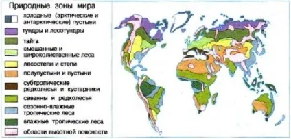 Урок-конспект по темі природні зони землі (землі) Урок-конспект по темі природні зони землі