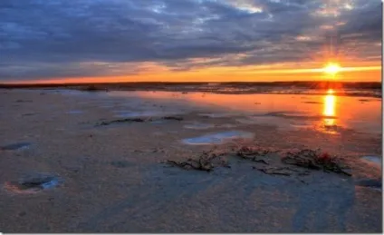 Дізнайтеся, чому висохло аральське море (чому) Дізнайтеся, чому висохло аральське море