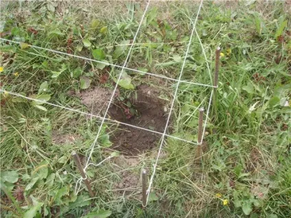 Пристрій фундаменту котеджу покрокова інструкція, фото (яка дасть можливість) Пристрій фундаменту котеджу покрокова інструкція, фото