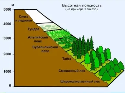 Урок-конспект по темі природні зони землі (землі) Урок-конспект по темі природні зони землі