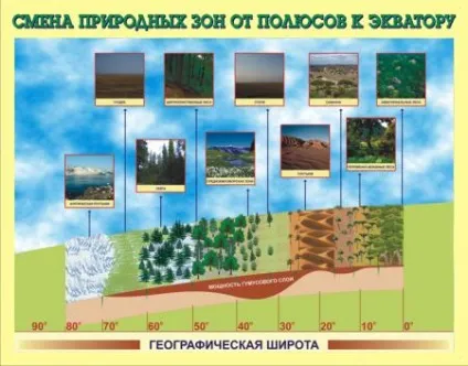 Урок-конспект по темі природні зони землі (землі) Урок-конспект по темі природні зони землі