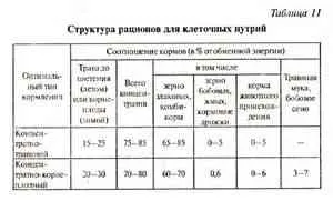 Чим годувати нутрій, домашнє утримання нутрій, шкурки шиншил