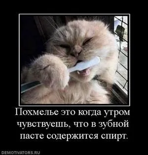 Чим краще закушувати алкогольні напої (абсолютно мене таке) Чим краще закушувати алкогольні напої