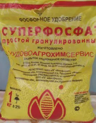 Чим підгодувати дріжджі в цукровій брагу (дріжджі) Чим підгодувати дріжджі в цукровій брагу