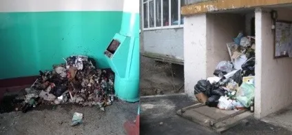 Чим небезпечні таргани для людини які хвороби переносять (які) Чим небезпечні таргани для людини які хвороби переносять