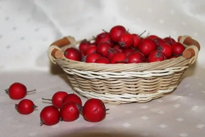 Чай з глоду і шипшини користь і шкода