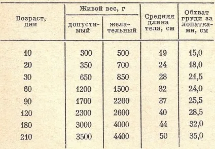 Чим годувати нутрію, головний фермерський портал - все про бізнес в сільському господарстві (господарстві) Чим годувати нутрію, головний фермерський портал - все про бізнес в сільському господарстві