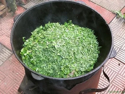 Чакапулі, чоловічий кулінарний сайт - кращі рецепти з фото (грузинська кухня) Чакапулі, чоловічий кулінарний сайт - кращі рецепти з фото