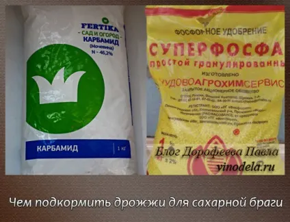 Чим підгодувати дріжджі в цукровій брагу (брагу) Чим підгодувати дріжджі в цукровій брагу