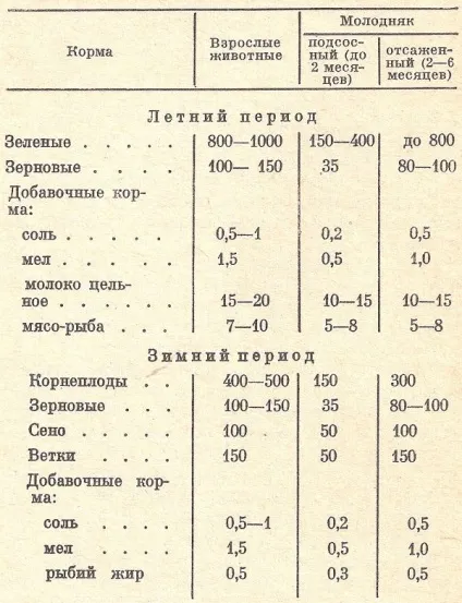 Чим годувати нутрію, головний фермерський портал - все про бізнес в сільському господарстві (розрахунку день кожного) Чим годувати нутрію, головний фермерський портал - все про бізнес в сільському господарстві