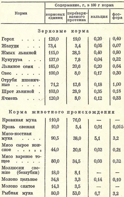 Чим годувати нутрію, головний фермерський портал - все про бізнес в сільському господарстві (соковитих грубих кормів) Чим годувати нутрію, головний фермерський портал - все про бізнес в сільському господарстві