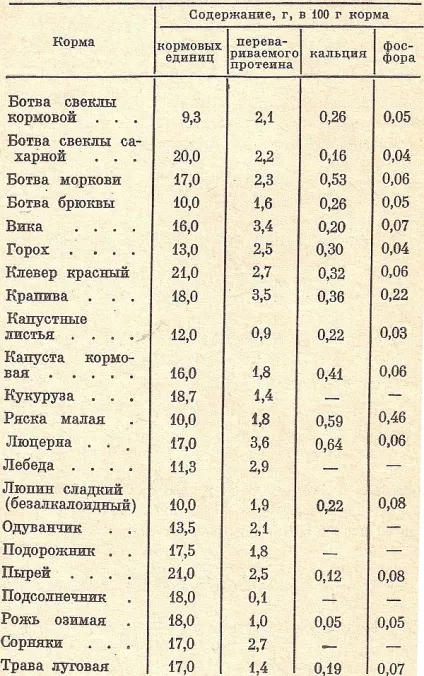 Чим годувати нутрію, головний фермерський портал - все про бізнес в сільському господарстві (годувати) Чим годувати нутрію, головний фермерський портал - все про бізнес в сільському господарстві
