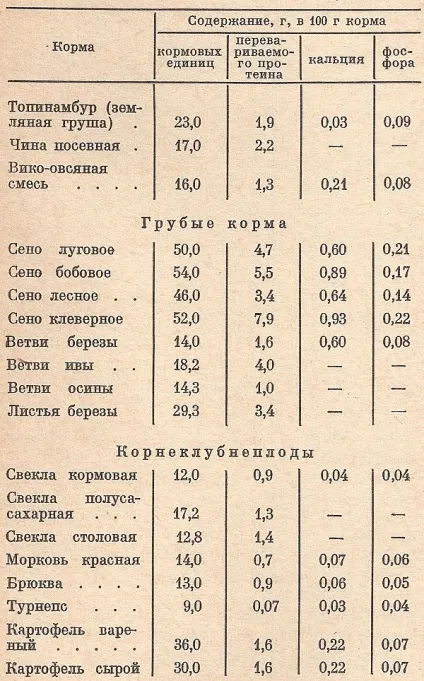 Чим годувати нутрію, головний фермерський портал - все про бізнес в сільському господарстві (розрахунку день кожного) Чим годувати нутрію, головний фермерський портал - все про бізнес в сільському господарстві