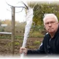 Чим закрити дупло в яблуні і як правильно вилікувати дерево (дупло) Чим закрити дупло в яблуні і як правильно вилікувати дерево