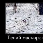 Що робити якщо подруга веде хлопця який мені подобається справа в тому, що м (робити) Що робити якщо подруга веде хлопця який мені подобається справа в тому, що м