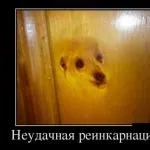 Що робити якщо подруга веде хлопця який мені подобається справа в тому, що м (веде) Що робити якщо подруга веде хлопця який мені подобається справа в тому, що м