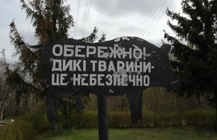 Чорнобильська церква без радіації (церква) Чорнобильська церква без радіації