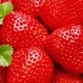 Що можна посадити поруч з яблунями (яблунями) Що можна посадити поруч з яблунями